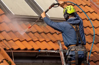 Démoussage et hydrofuge de toiture à Brugheas